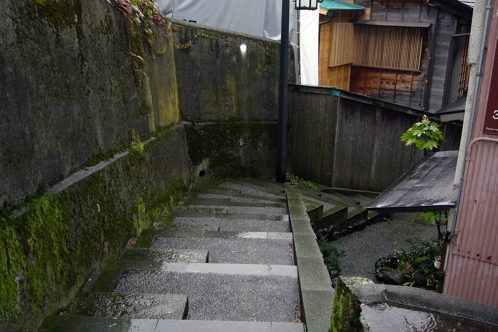 苔むした石垣にはさまれた暗がり坂の石段