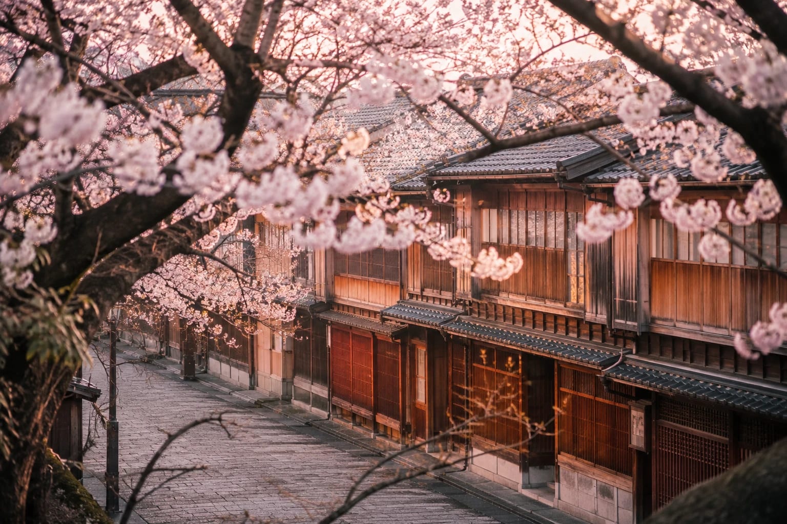 桜と茶屋建築の街並み