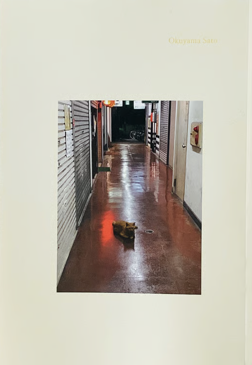 きらきら大切商店街